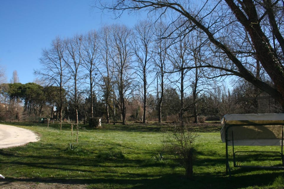 Inner courtyard view