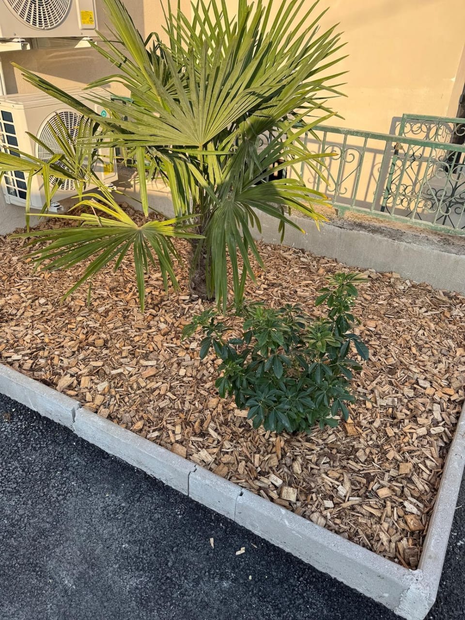 Le jardin d'Eden Zen-Tram à 1 min-Hôpitaux Est -Eurexpo-Groupama stadium-Parking gratuit-Climatisé Apartment in Villeurbanne