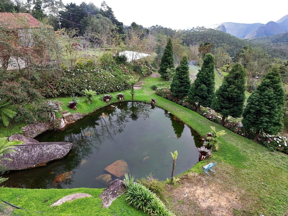 Lake view