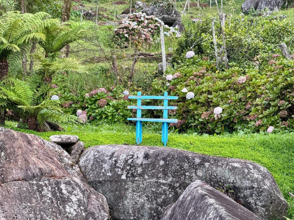 Seating area, Lake view