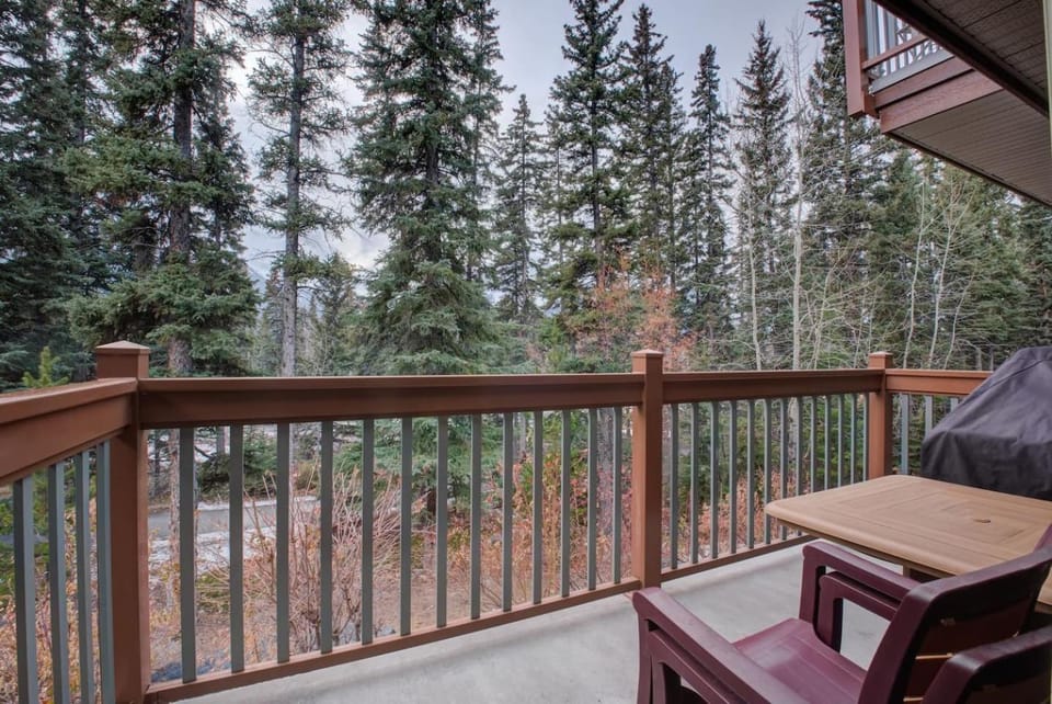 Premium Mountain Condo 2 Bed 25 Bath 225 Grizzly Apartment in Canmore