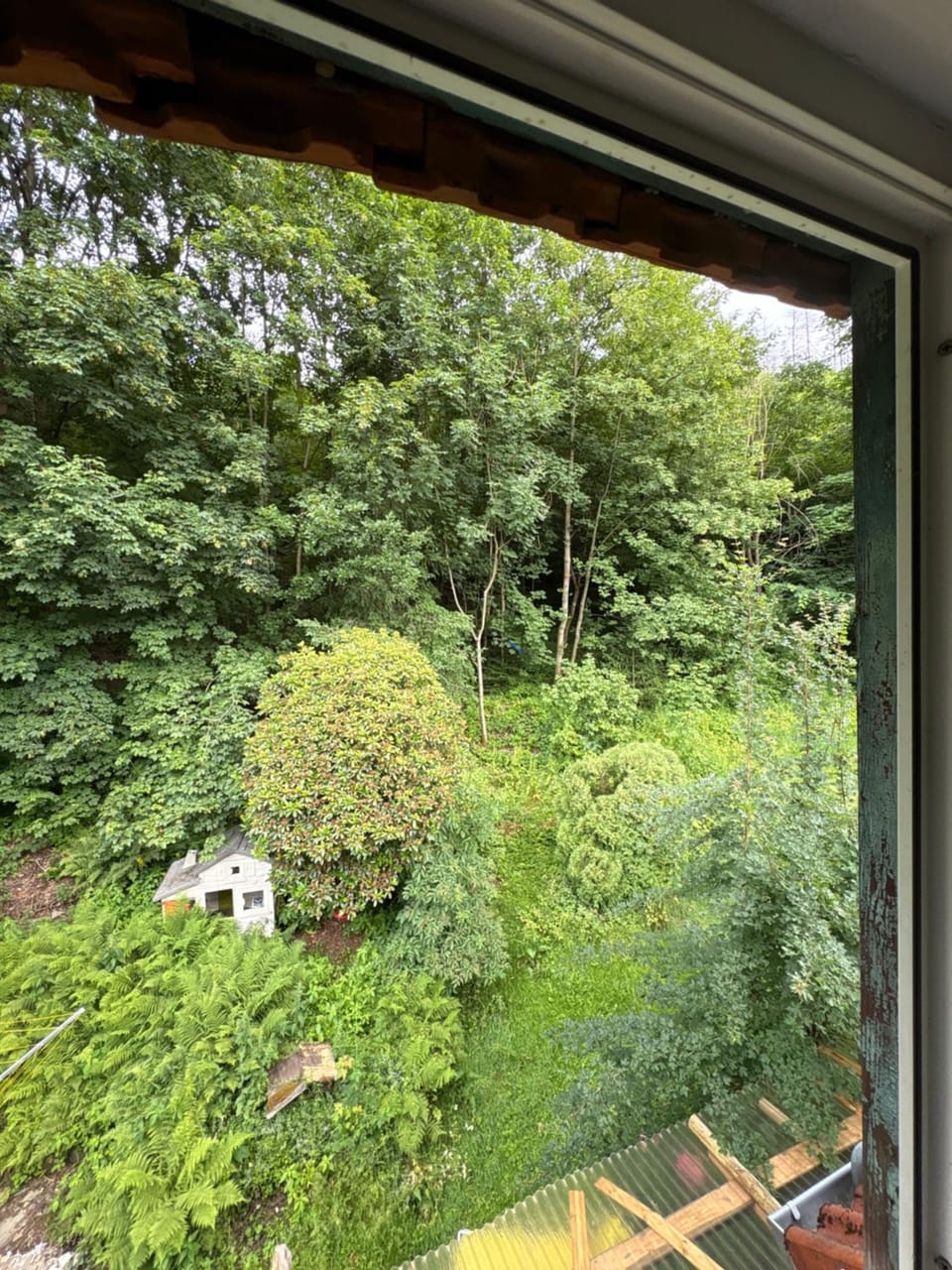 View (from property/room)