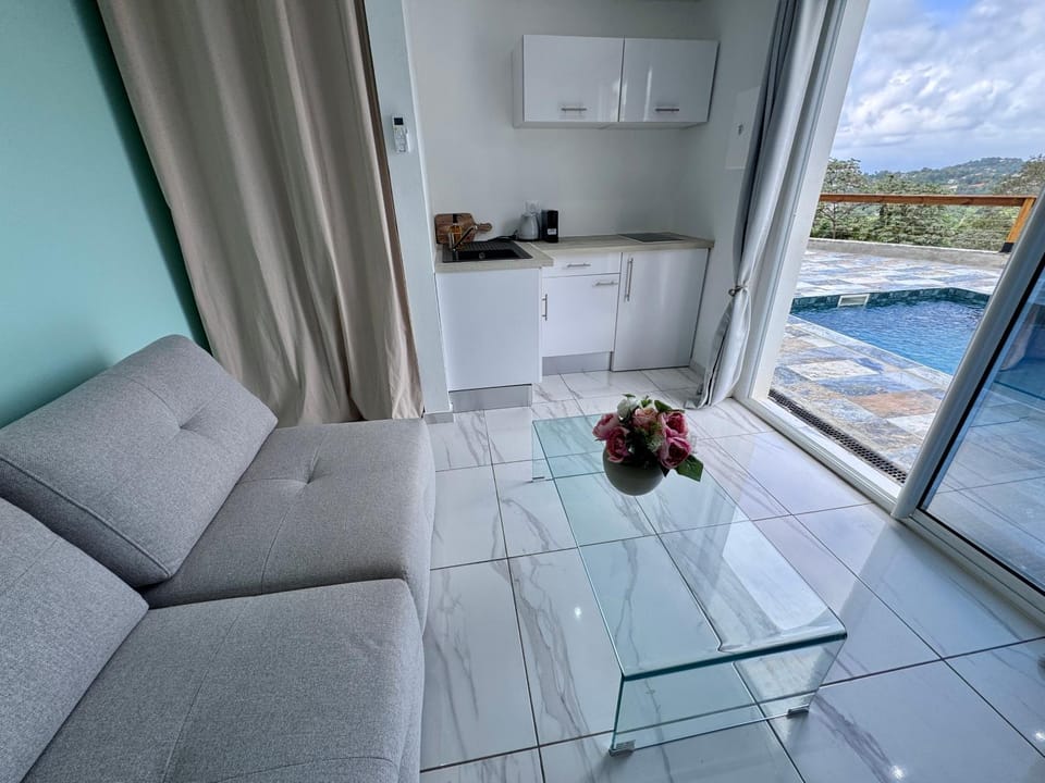 Kitchen or kitchenette, Seating area, stove