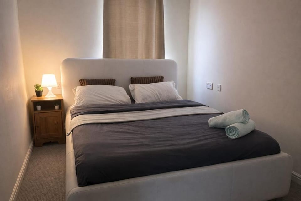 Spacious 2 King Bed Flat near City Centre Apartment in Edinburgh