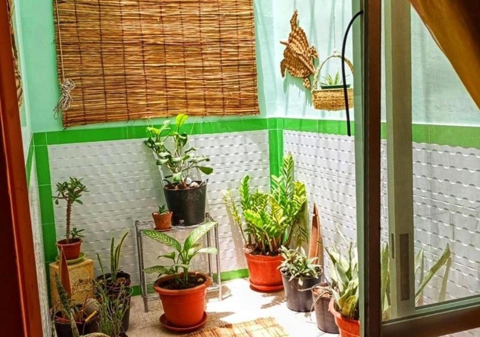 Inner courtyard view