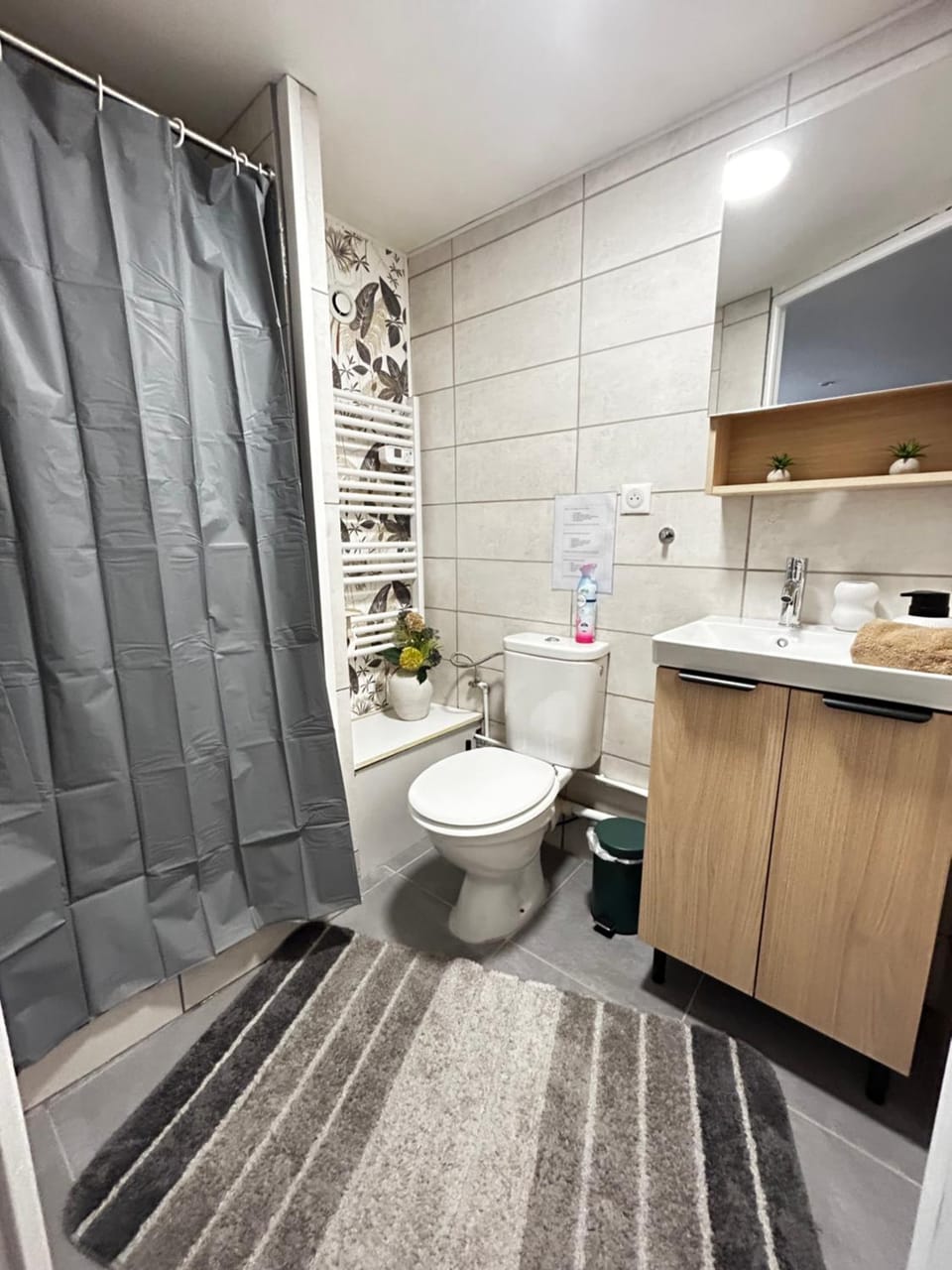 Shower, Toilet