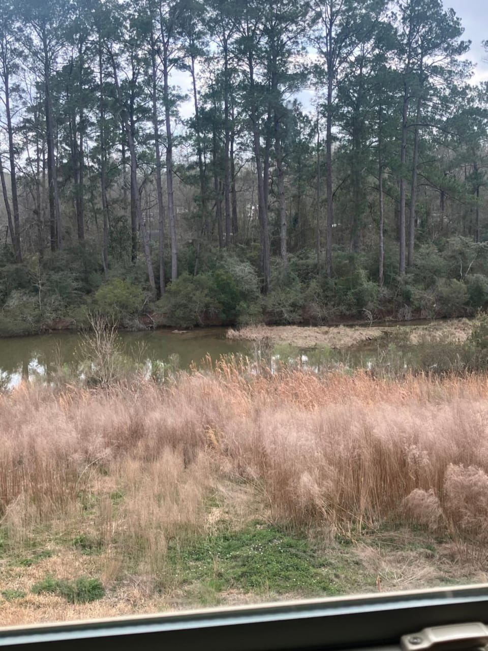 Lake view