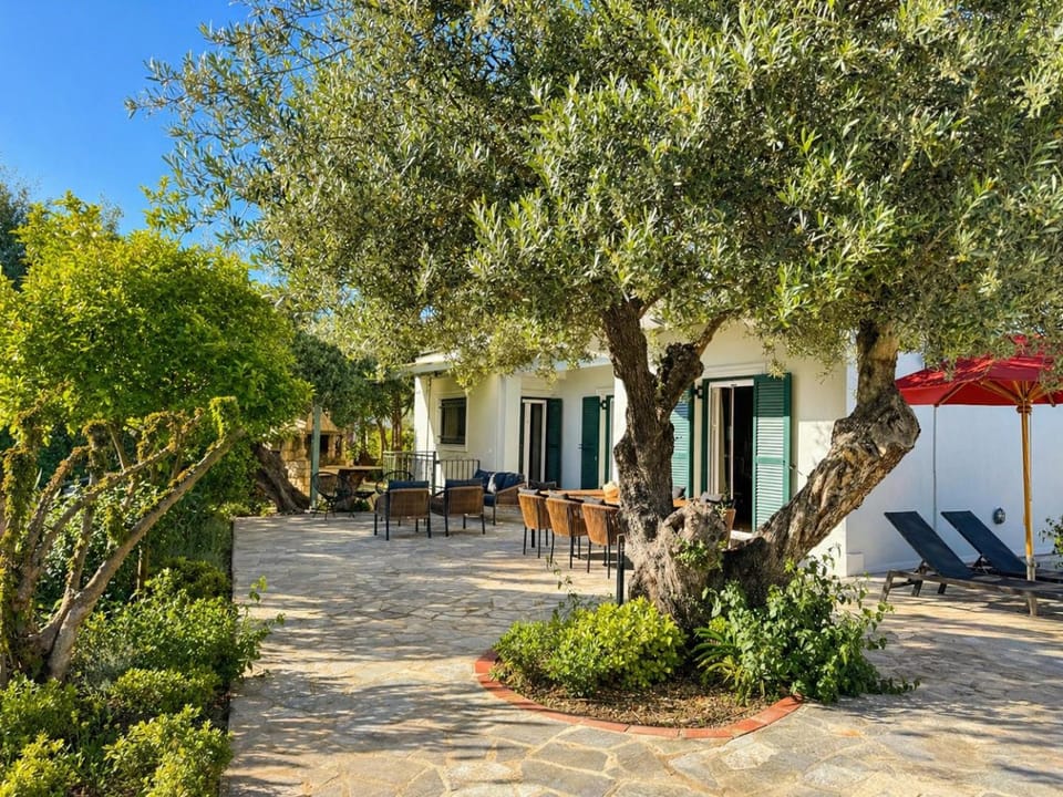 Patio, Garden