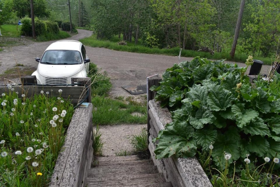 Neighbourhood, Garden, Parking