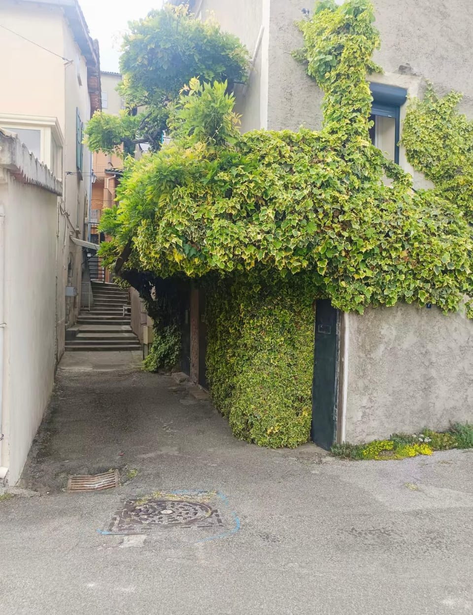 Property building, Garden