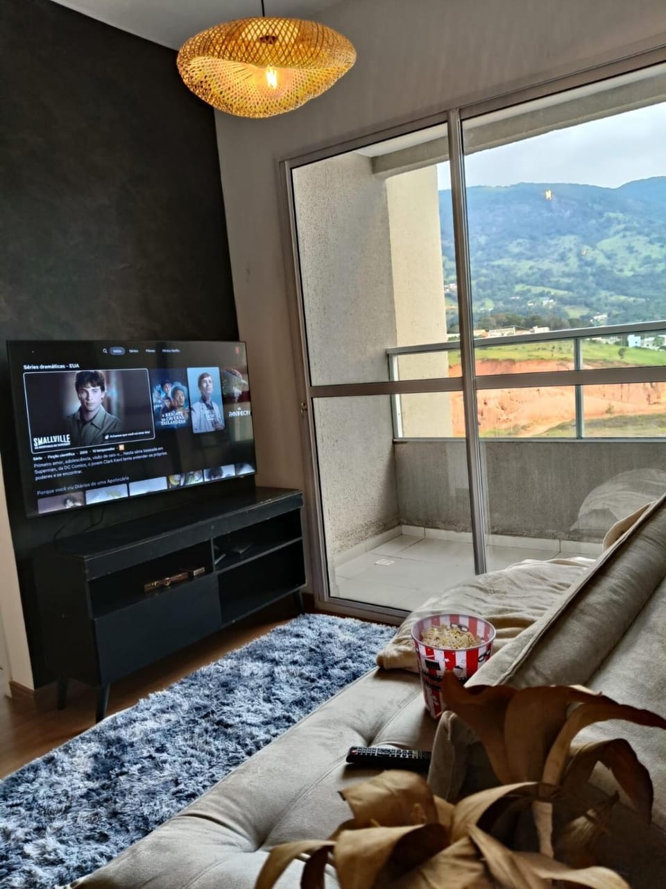 TV and multimedia