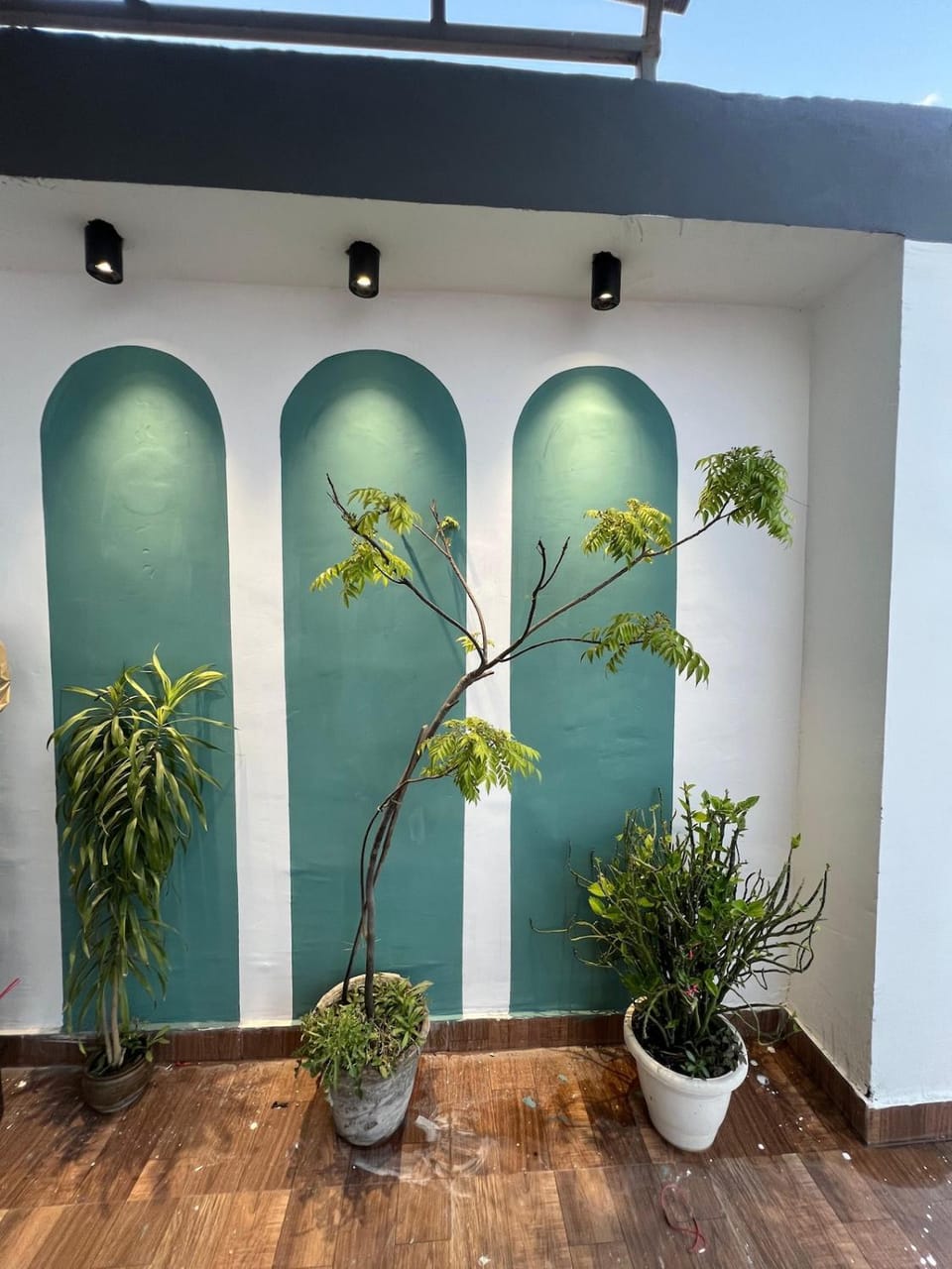 1202 , Rooftop , Cozy Cave 2BHK with Pvt Theatre Apartment in New Delhi