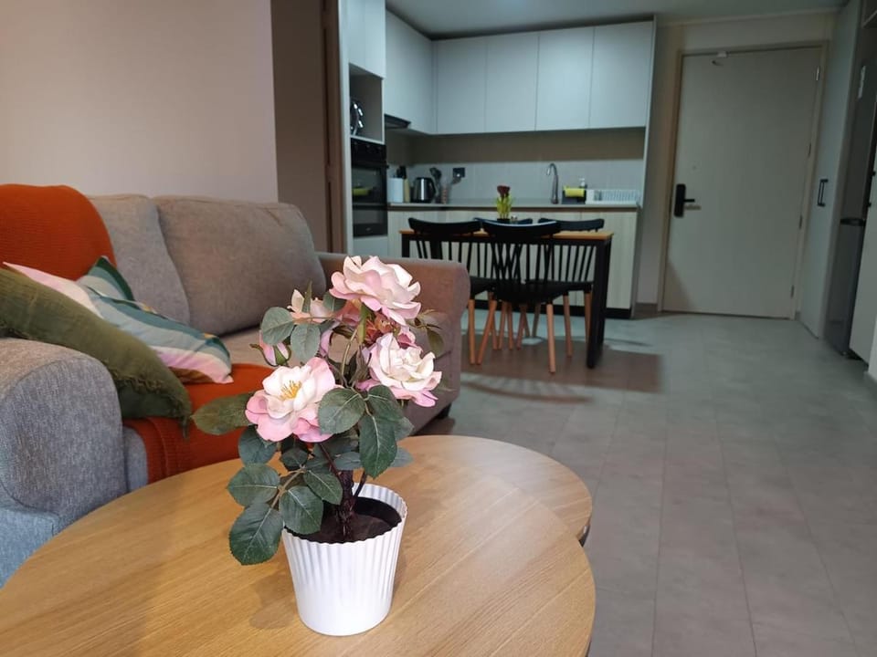 Nuevo Departamento en Ñuñoa, 2 Habitaciones, Estacionamiento Apartment in Santiago
