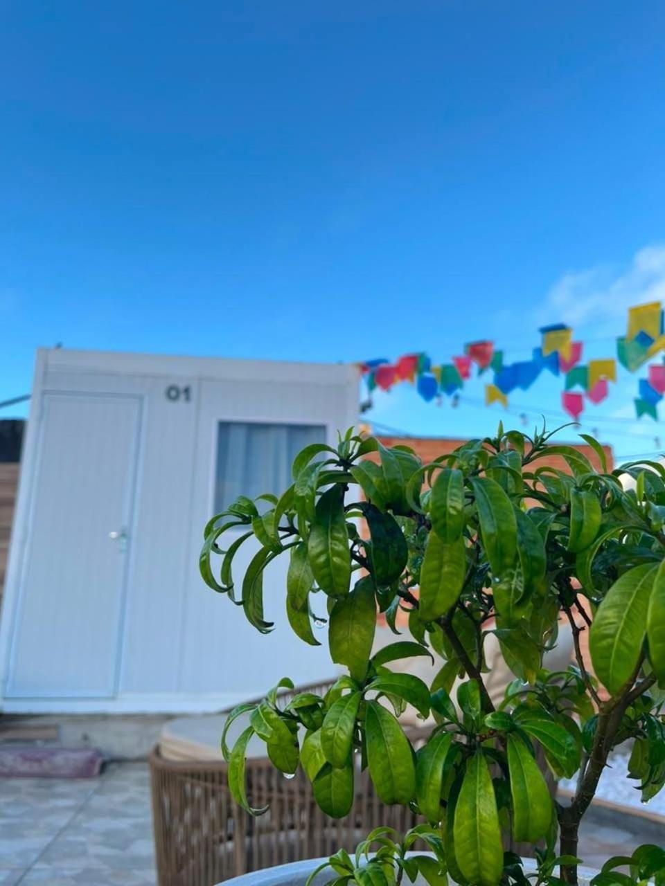 Pousada Villa Sítio Bed and Breakfast in Campina Grande