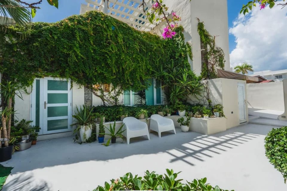 Property building, Day, Garden view
