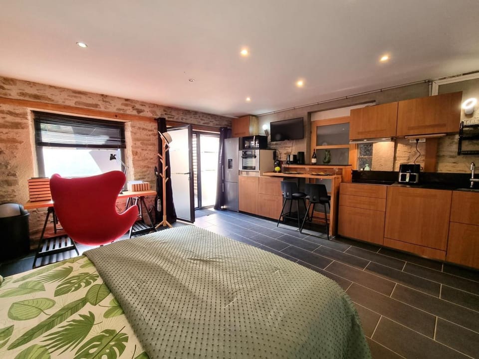 Studio rénové au calme de la campagne - 2 pers. - FR-1-496-389 Apartment in Auvergne-Rhône-Alpes