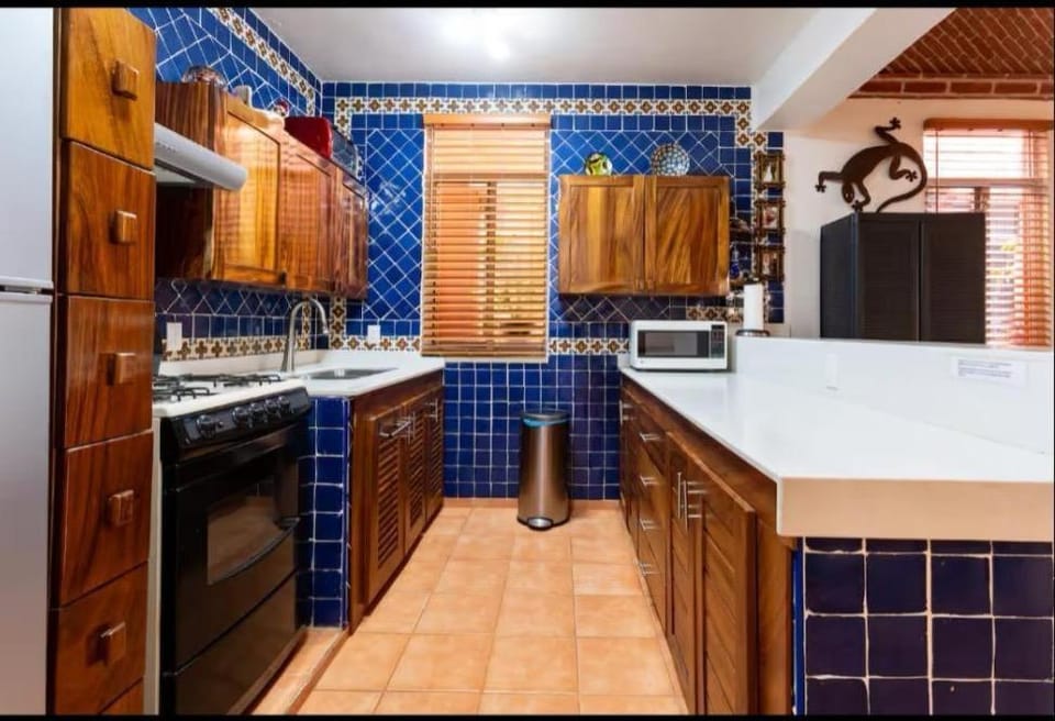 Luxury Casa Cindy House in Puerto Escondido