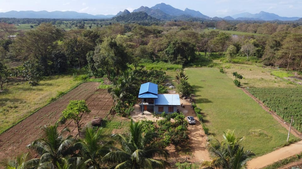 Spring, Day, Natural landscape, Bird's eye view, Garden, Garden view, Mountain view