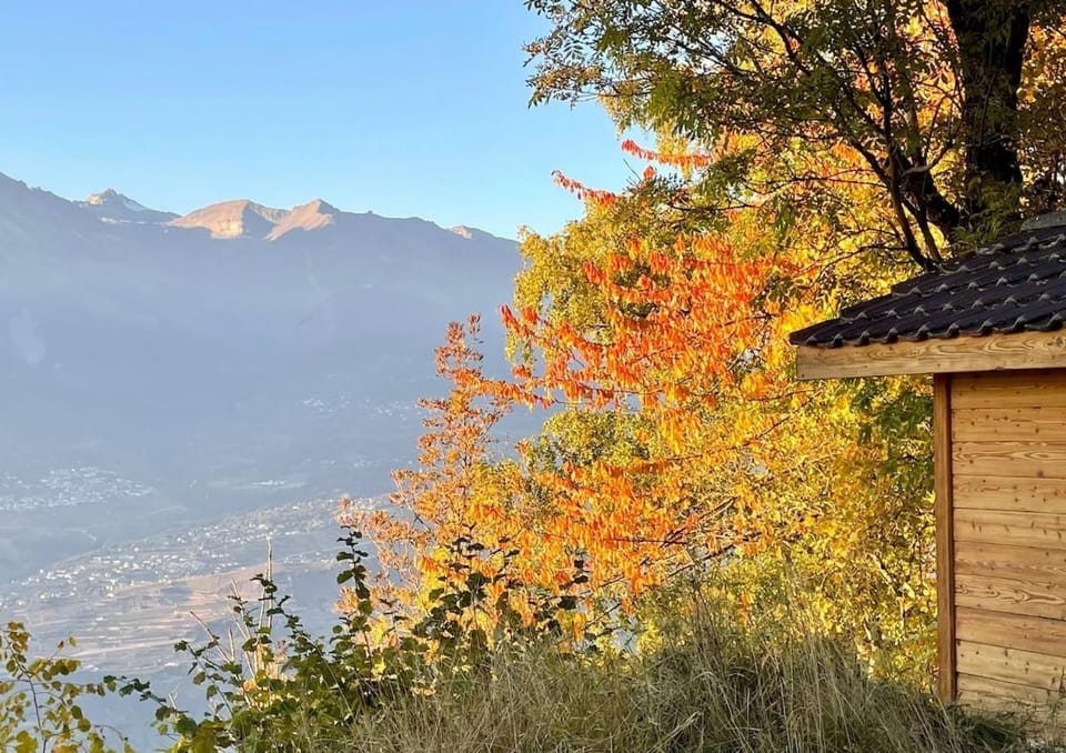 Sweet Chalet in Switzerland Chalet in Sion