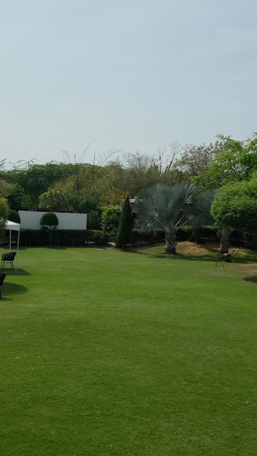 Garden