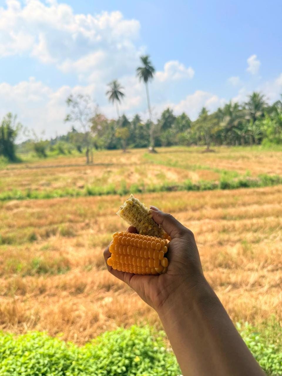 BST Saman Agro Eco Rest Apartment in Sri Lanka