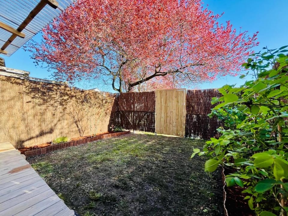 Garden, Balcony/Terrace