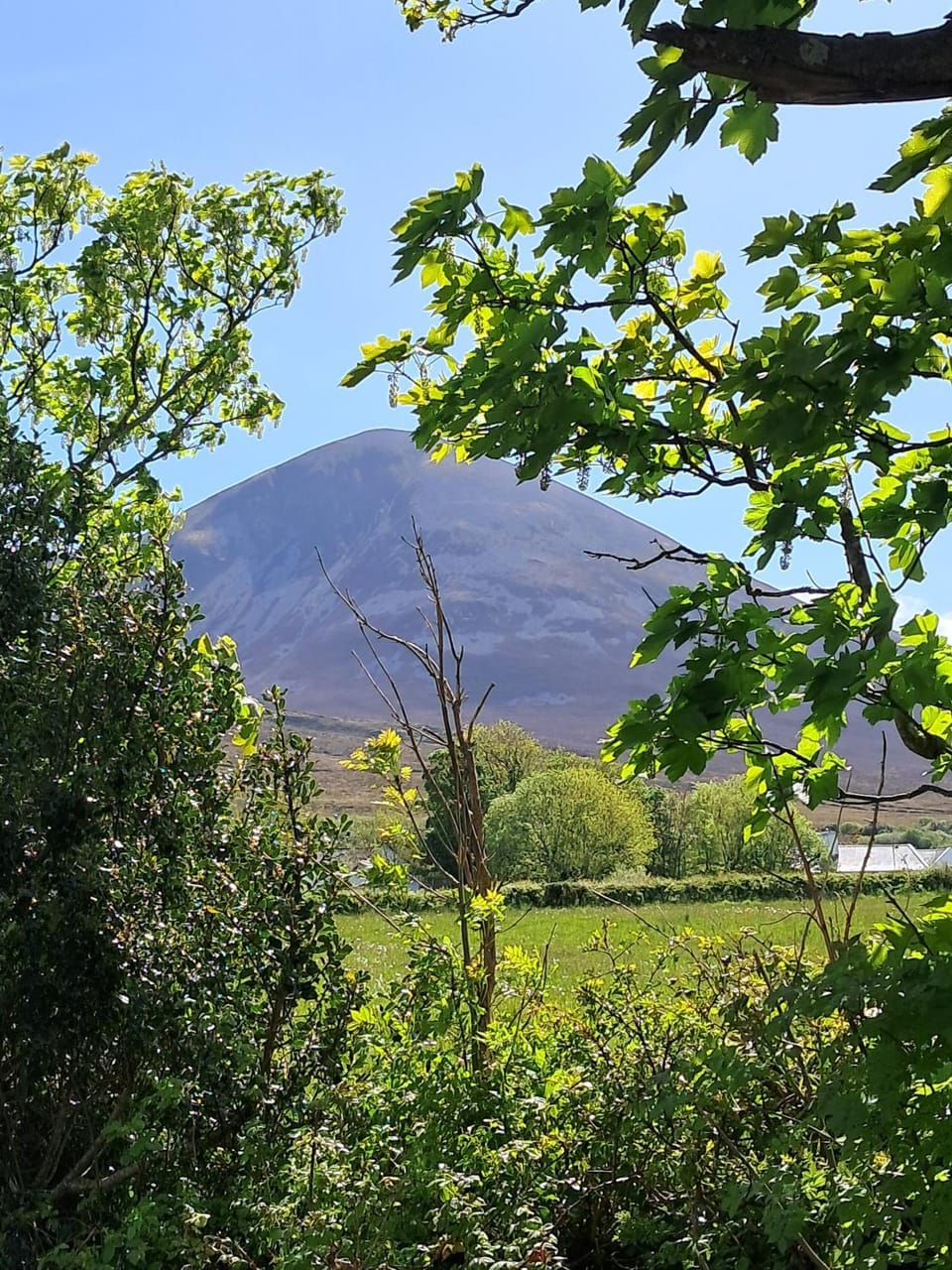 Apartment - Sleeps 2 3 Westport Free Parking Apartment in County Mayo