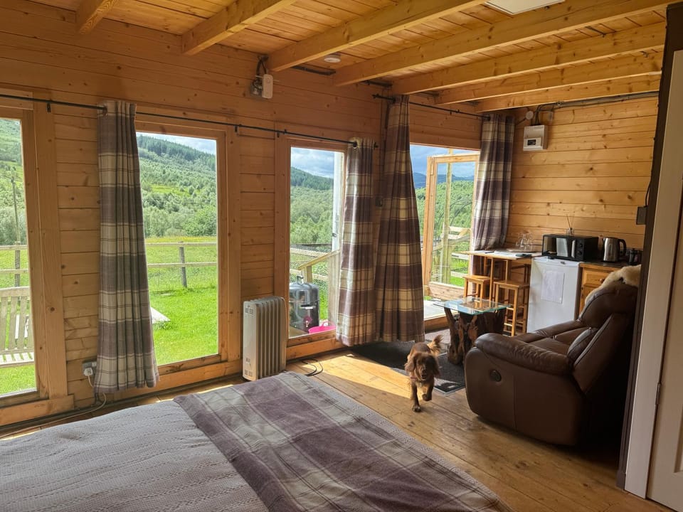 Star Gazer Cabin Cabin in Scotland