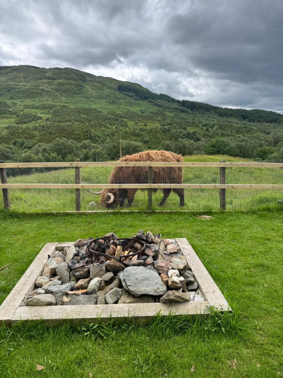 Star Gazer Cabin Cabin in Scotland