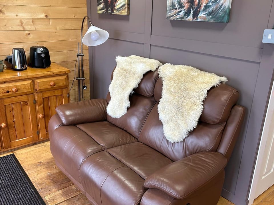 Star Gazer Cabin Cabin in Scotland