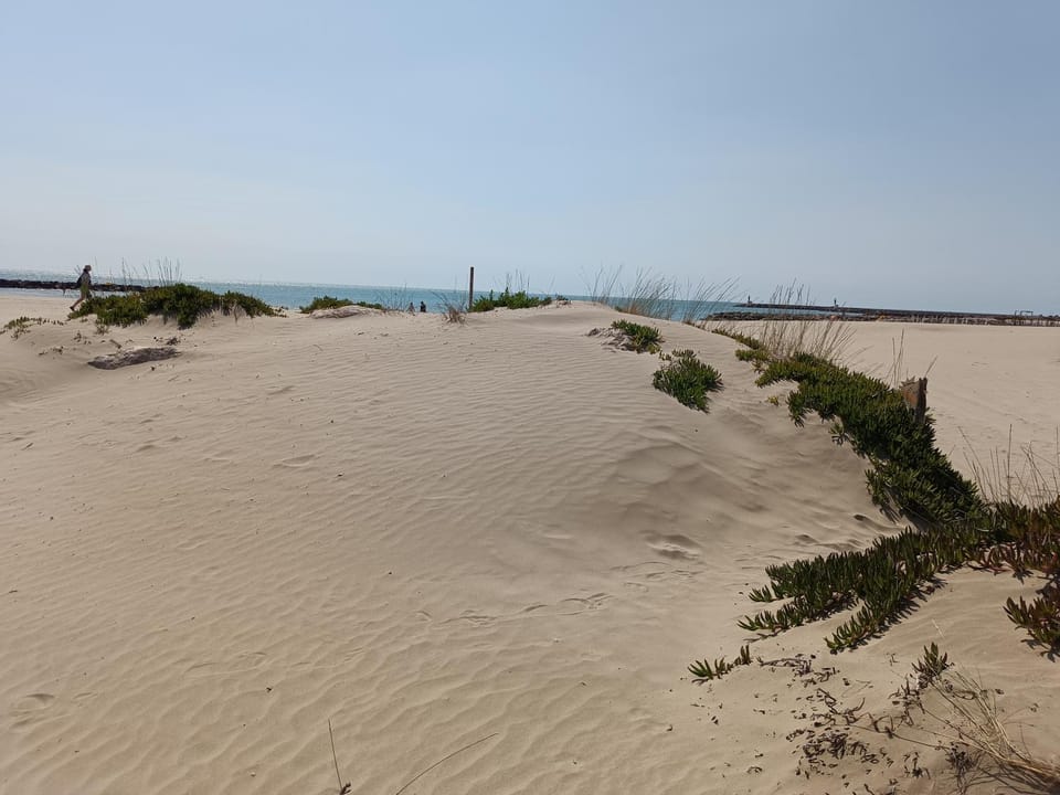 Beach 50 m , vue mer Apartment in Mauguio