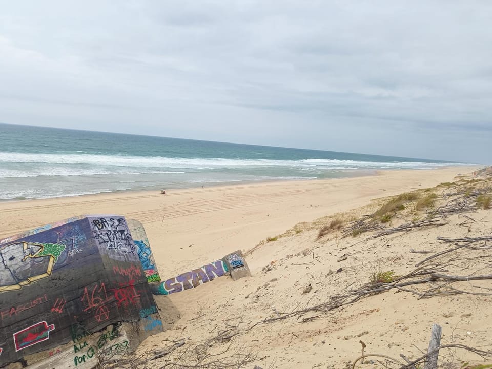 Beach 50 m , vue mer Apartment in Mauguio