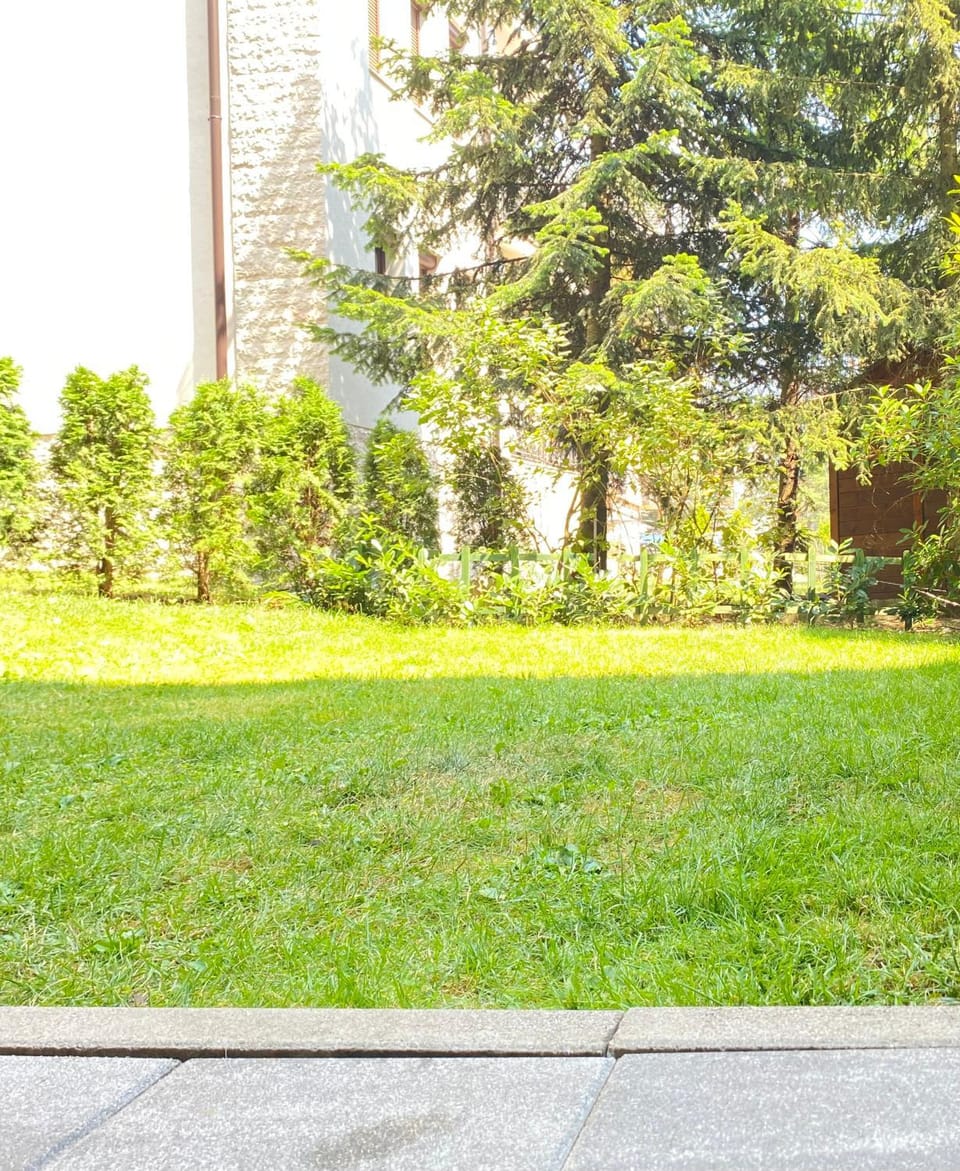 Garden, Garden view