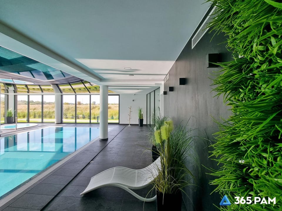 Swimming pool, sunbed