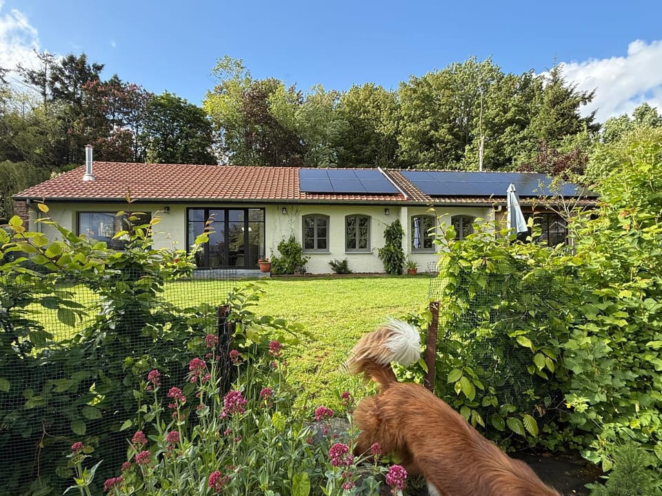 Les Jardins du Chepson - Maison, nature, calme près de Namur House in Belgium