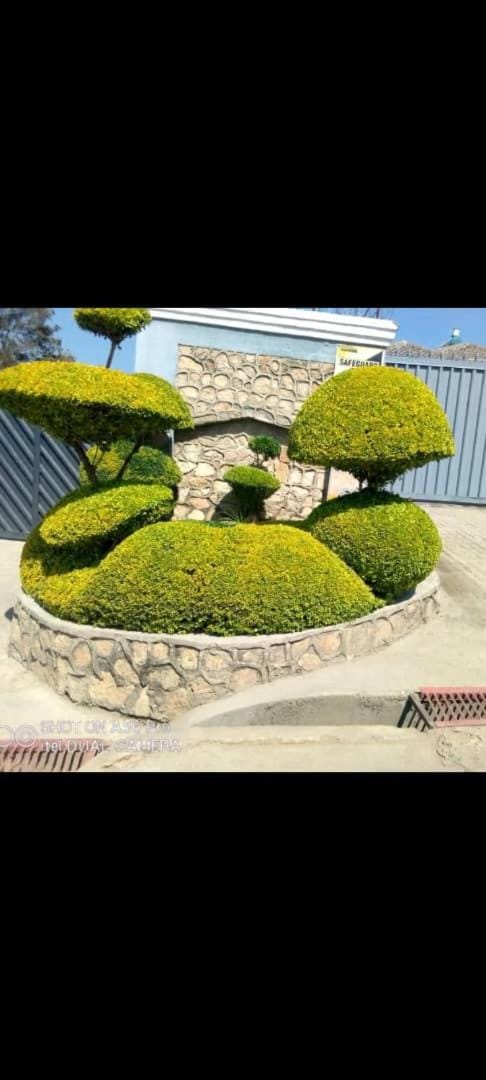 Alamaison Apartment in Zimbabwe