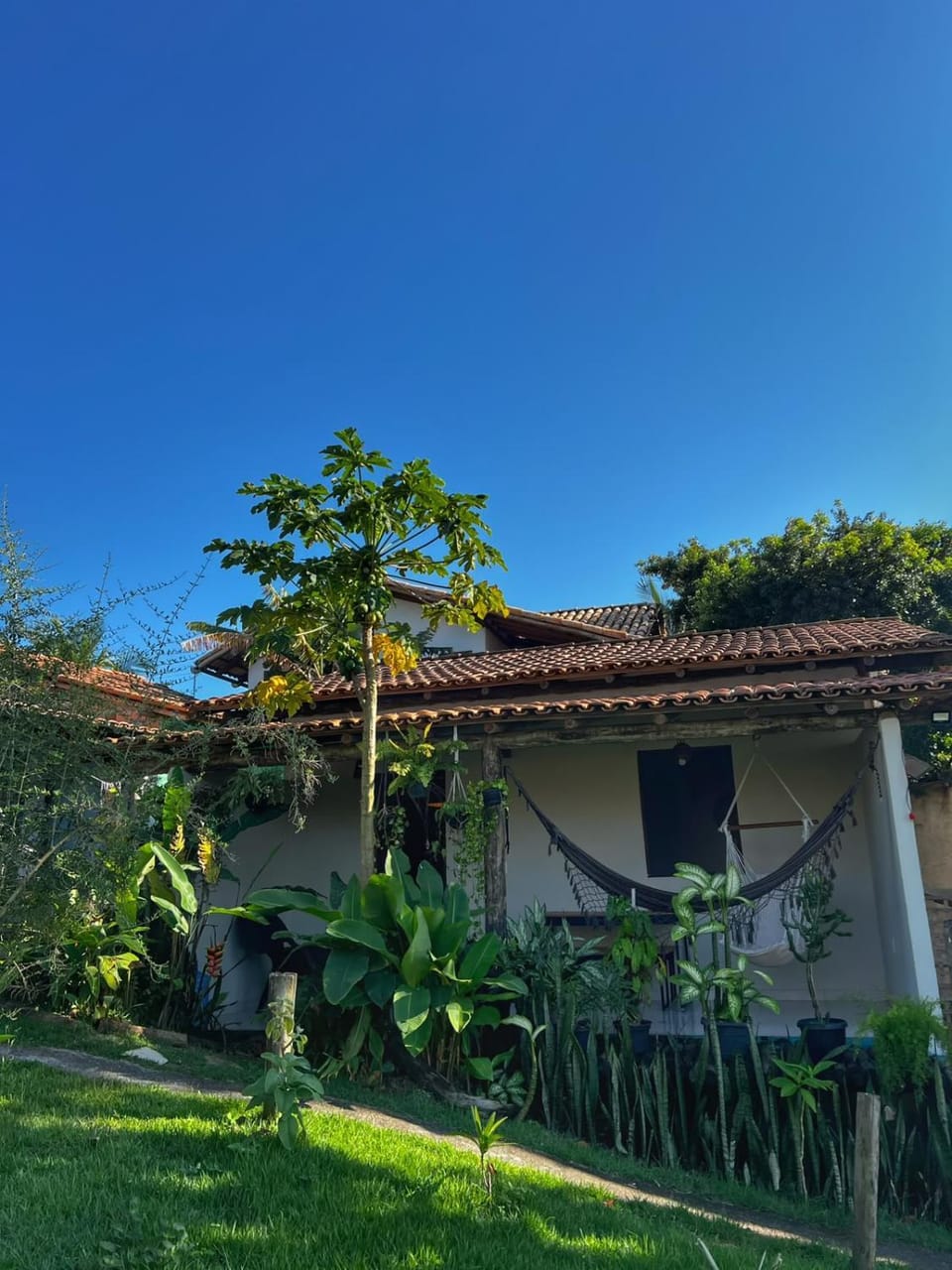 Garden view