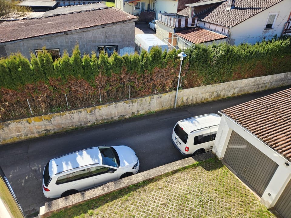 Neighbourhood, Street view, Quiet street view