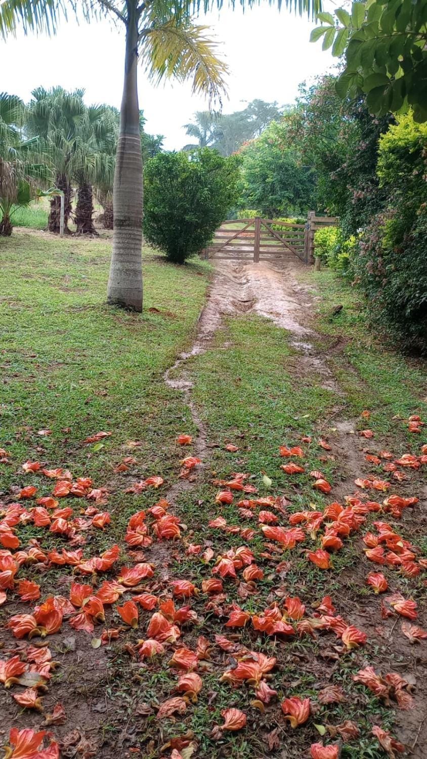 Camping do Mica Campground/ 
RV Resort in State of Rio de Janeiro