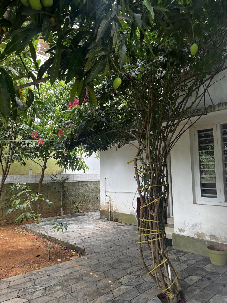 Garden view