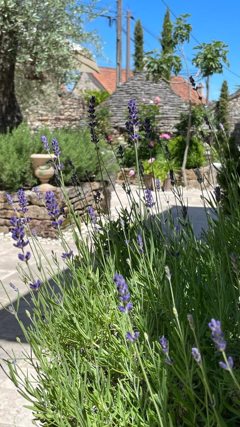 Exclusive Guesthouse with Pool near Saint Cirq Lapopie Tranquil Luxury Stay Bed and Breakfast in Occitanie