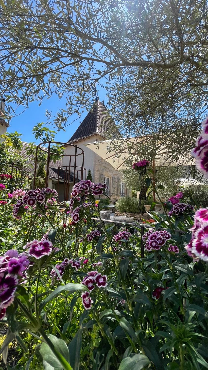 Exclusive Guesthouse with Pool near Saint Cirq Lapopie Tranquil Luxury Stay Bed and Breakfast in Occitanie