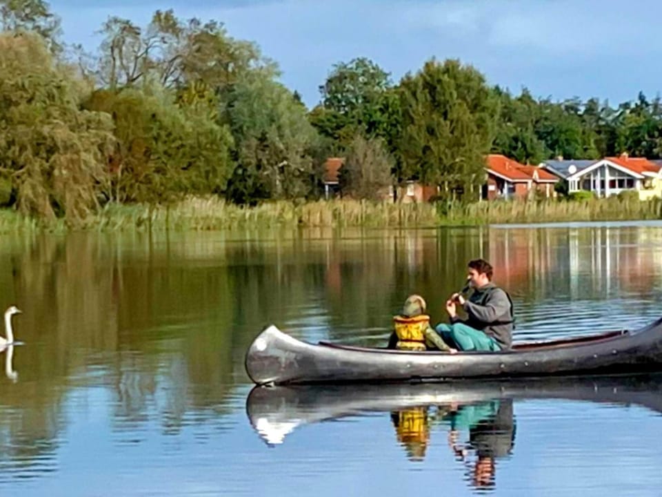 Lake view