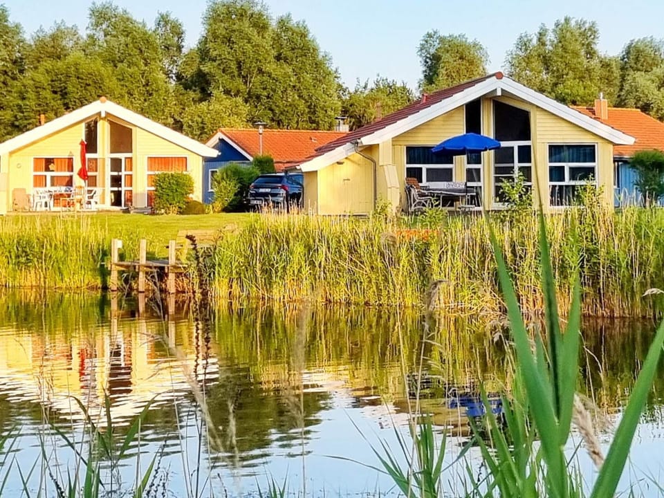 Lake view