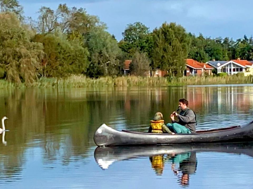 Lake view