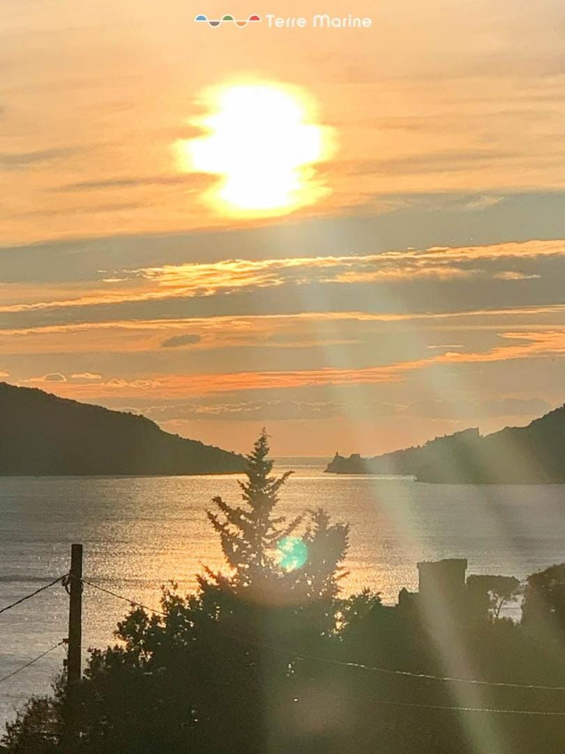 Il Professore, Terre Marine Apartment in Lerici