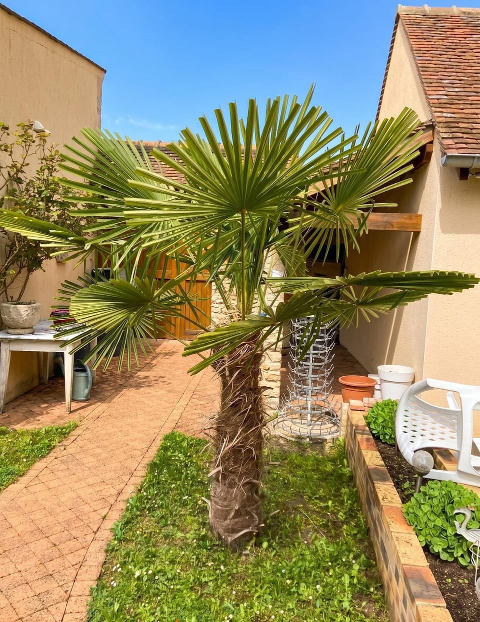 Garden view