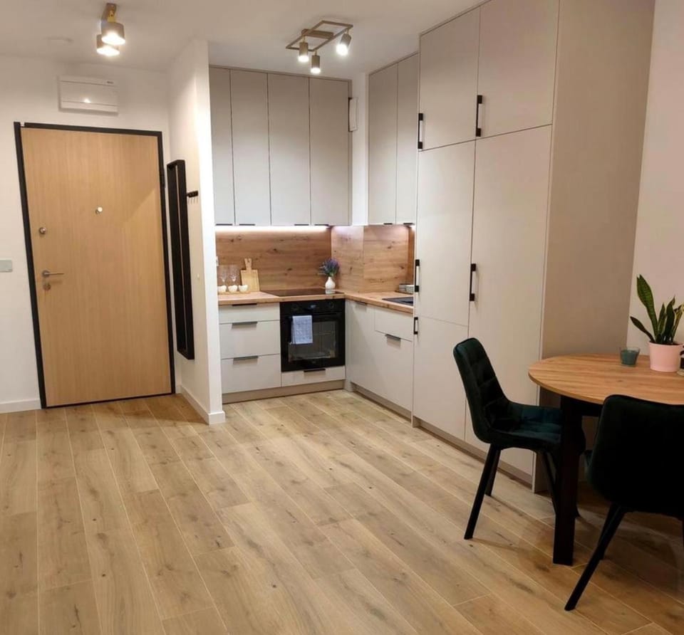 Kitchen or kitchenette, Dining area, oven, stove