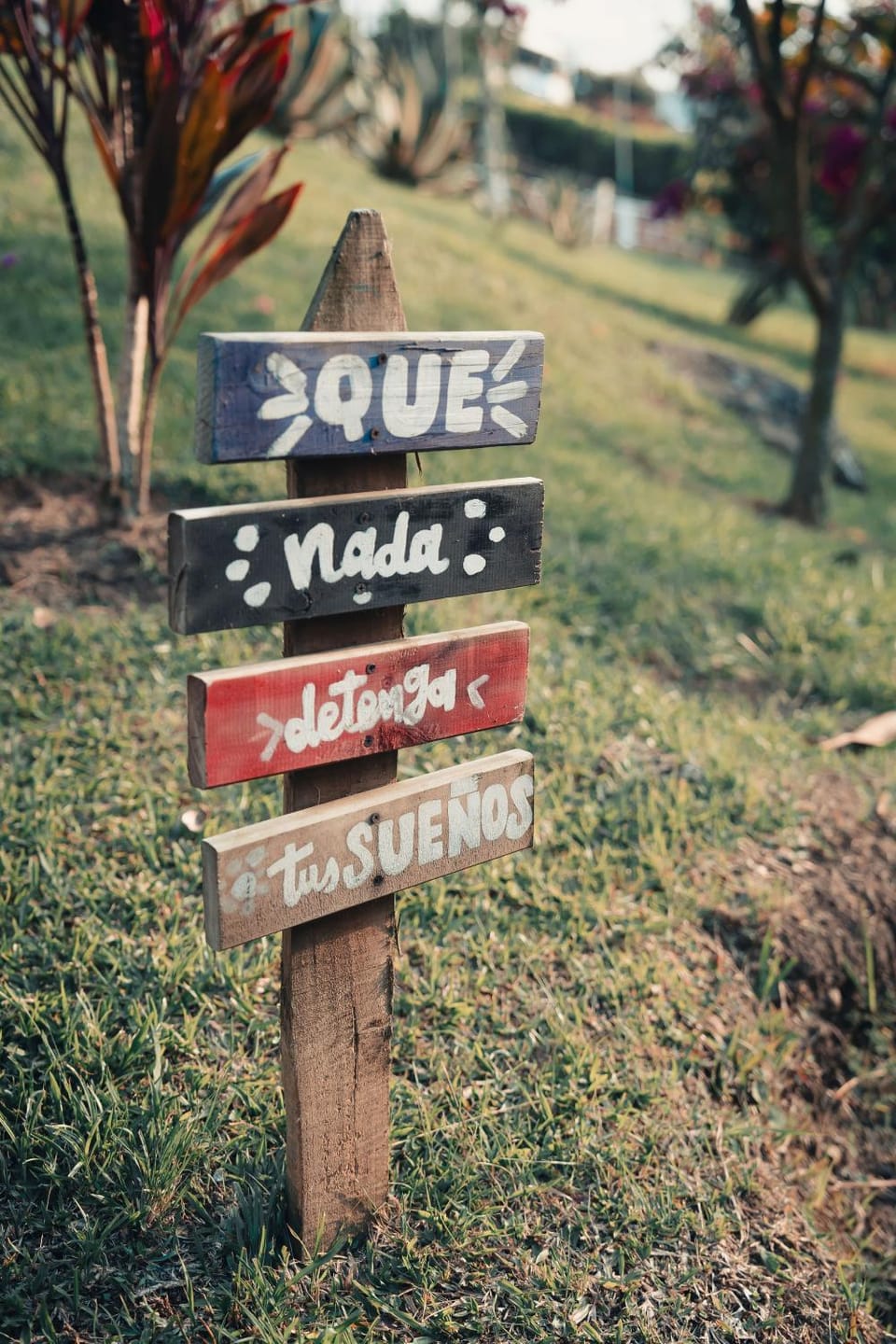 Property logo or sign, Garden, Street view