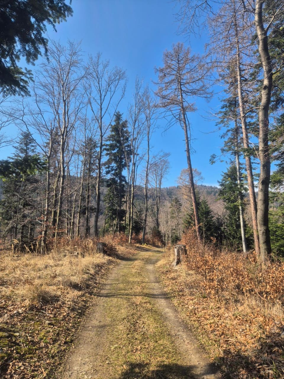Off site